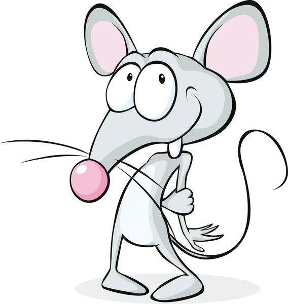 Lindo ratón tímido aislado sobre fondo blanco - ilustración de ...