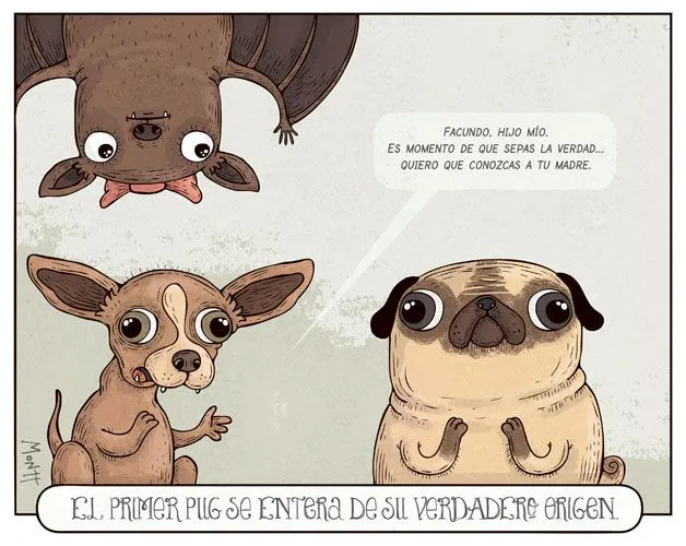 Liniers vs Montt: julio 2012