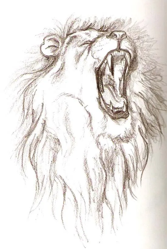 Como dibujar un leon rugiendo - Imagui