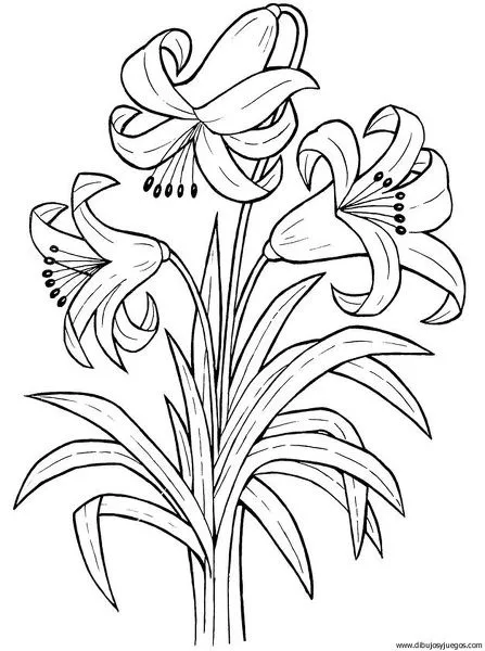 Dibujos de canastas con flores y mariposas para colorear - Imagui