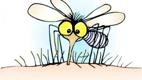 Mosquitos dibujos - Imagui