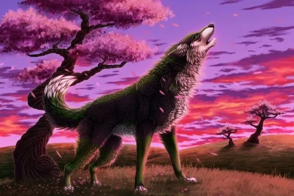 Un lobo aullando en un bello amanecer (45934)