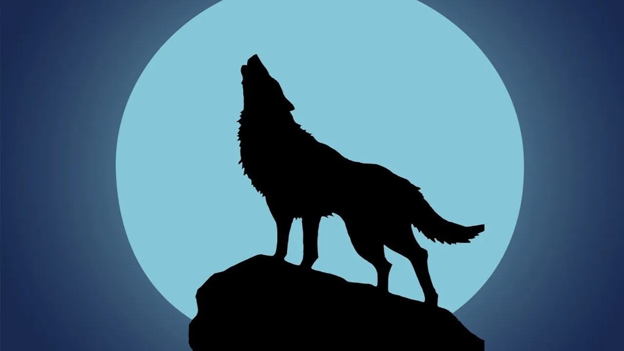 Lobo aullando (Efecto de Sonido) Wolf Howling in Night Sound ... Lobo aullando (Efecto de Sonido) Wolf Howling in Night Sound ...