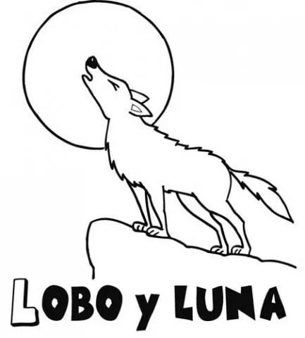 Lobo bebé dibujo - Imagui