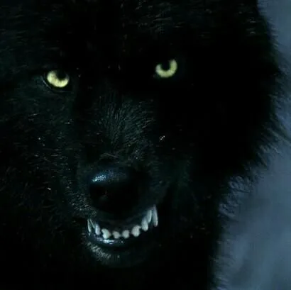 El lobo negro (@huargonegro) | Twitter