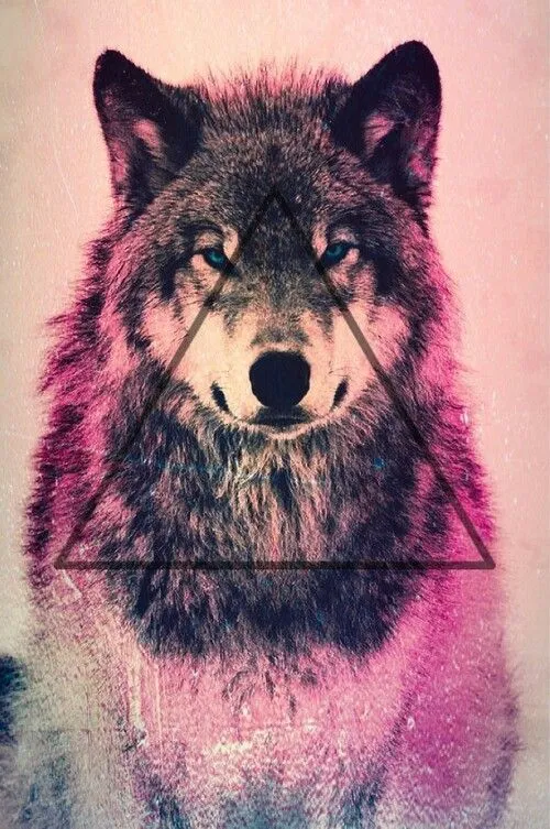 Lobo wallpaper hipster | Wallpaper | Pinterest | Hipster, Wolves ...