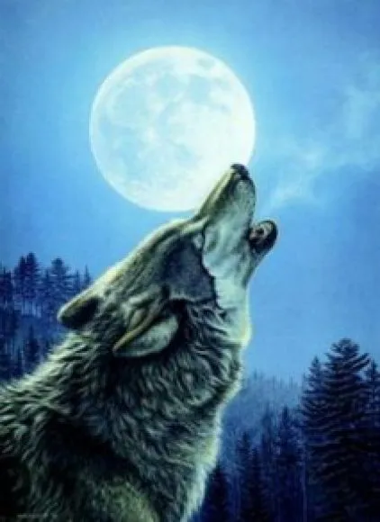 Luna de lobos aullando - Imagui