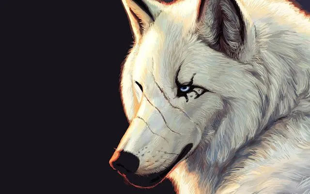 Lobos blancos ojos azules - Imagui