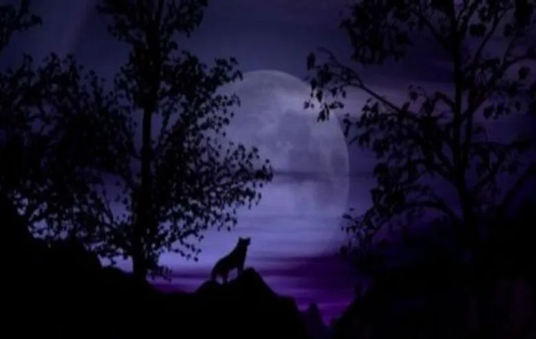 Lobos en luna llena - Imagui