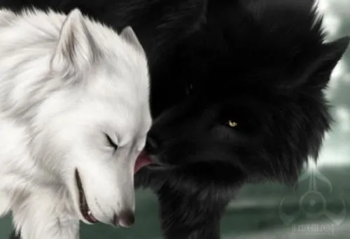 lobos negros - Pesquisa Google | amo lobos | Pinterest | Búsqueda ...