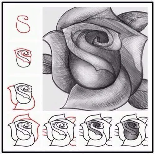 Lola on Twitter: "“@iQueidea: Como dibujar una rosa 