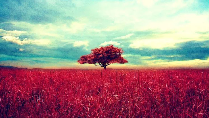 Lonely Tree Red Leaf and Reed Blue Sky Colorful Vintage ...
