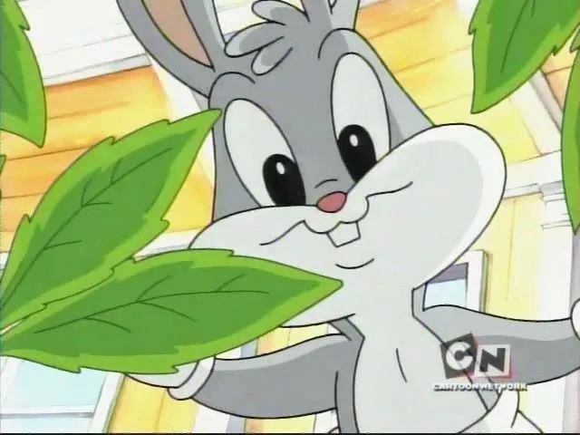 Bugs Bunny - Baby Looney Tunes Wiki