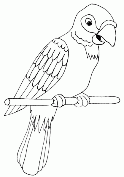 Free coloring pages of dibujos de pericos