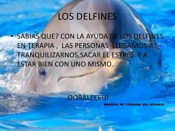 los-delfines-lossma-4-728.jpg? ...