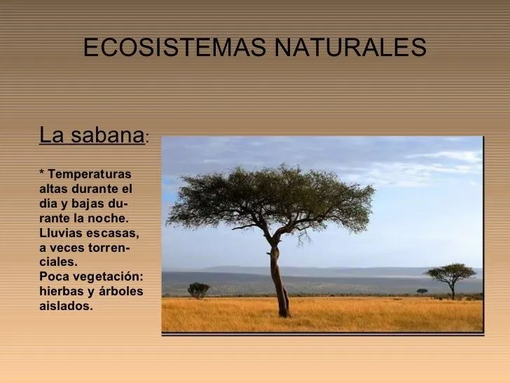 los-ecosistemas-ppt-12-728.jpg ...