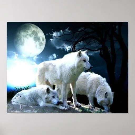 Luna llena del lobo grande poster de Zazzle. Luna llena del lobo grande poster de Zazzle.