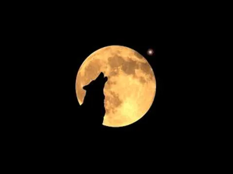 Lunas llenas & Lobos aullan - YouTube