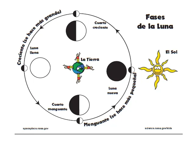 Las Lunas de Oreo: enseñar ciencia con creatividad : Factor el ...