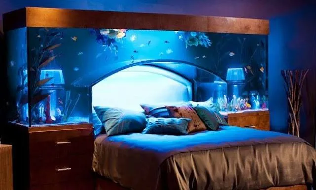 Mª José Carrillo - Consultora e instructora de Feng Shui: PECES DE ... Mª José Carrillo - Consultora e instructora de Feng Shui: PECES DE ...