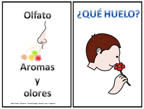 Mabel Freixes FONOAUDIÓLOGA-ARGENTINA: SENTIDO DEL OLFATO Mabel Freixes FONOAUDIÓLOGA-ARGENTINA: SENTIDO DEL OLFATO