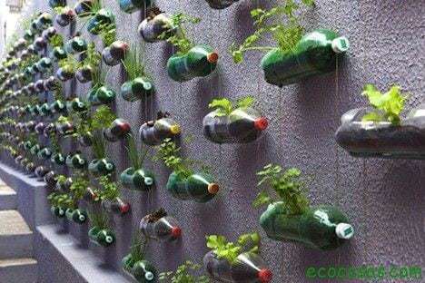 Macetas con botellas plásticas | Ecocosas