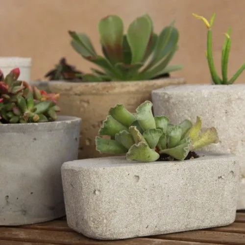 Macetas de cemento para tus cactus - Ideas para jardines y decoración