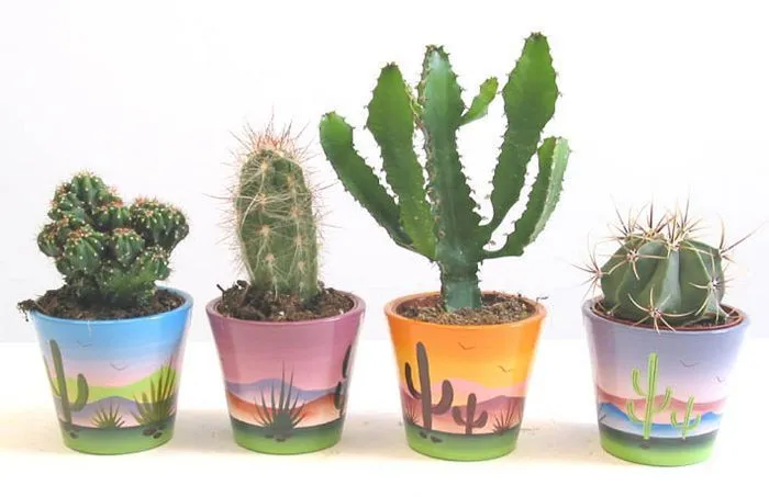 macetas decoradas con cactus | IDEAS | Pinterest | Cactus