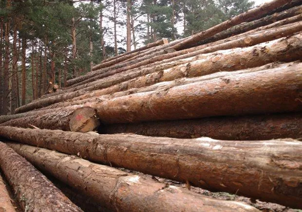 La madera | Casas de Madera Prefabricadas