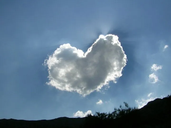 La madriguera del escobrice: Corazón de Nube