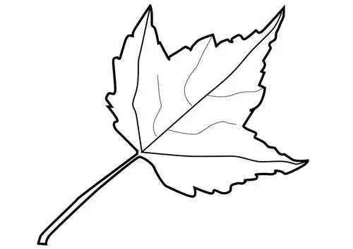 Maestra de Infantil: Hojas de otoño para colorear. Maestra de Infantil: Hojas de otoño para colorear.