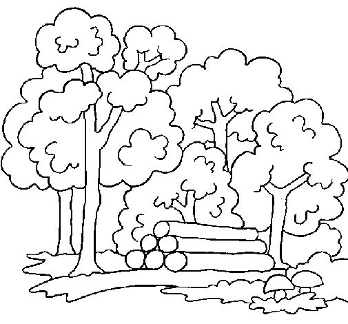 Dibujos de reforestación para colorear - Imagui