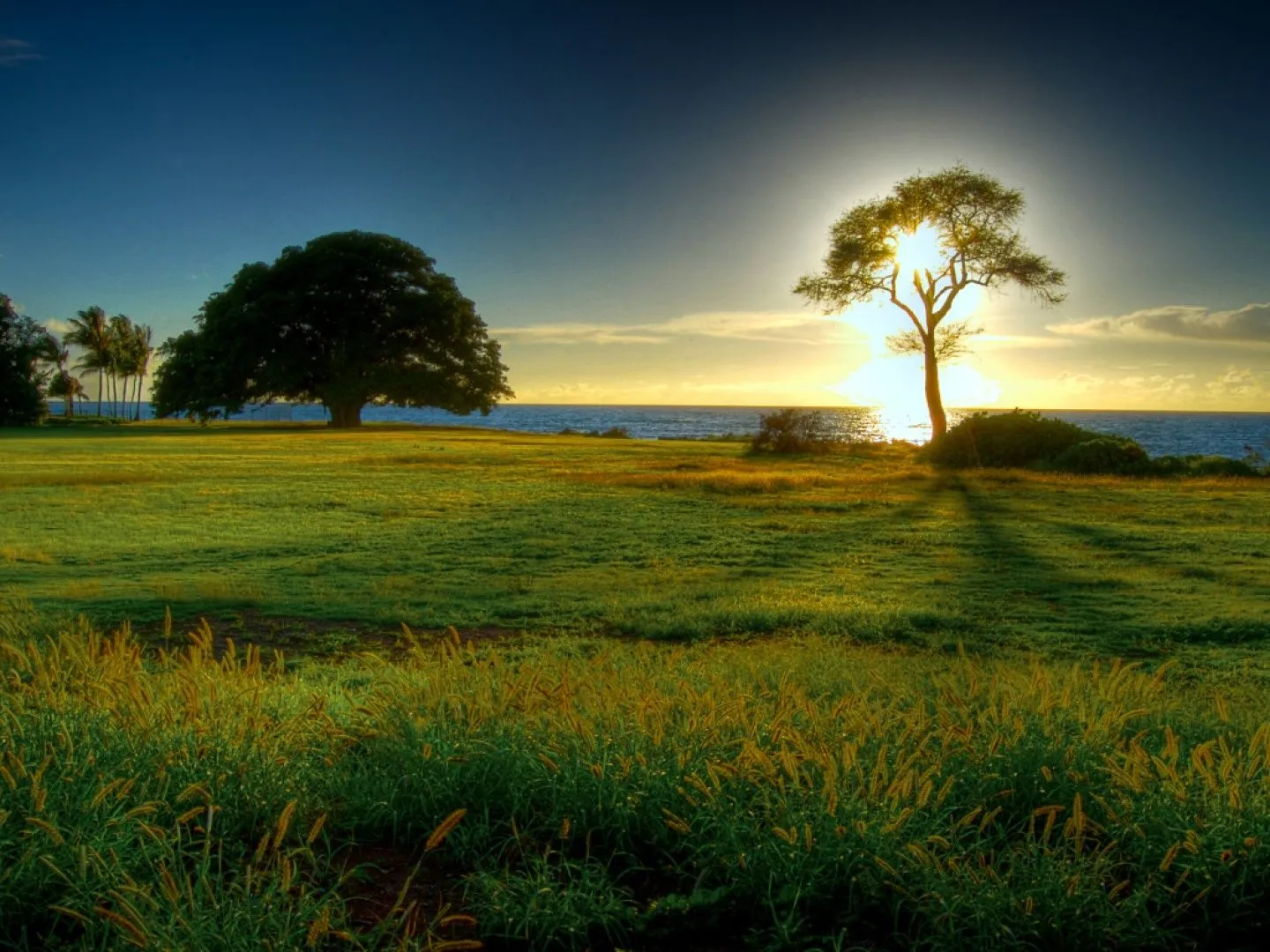 Maestros Ascendidos: MADRE TIERRA GAIA- SU MENSAJE. Desde su ... Maestros Ascendidos: MADRE TIERRA GAIA- SU MENSAJE. Desde su ...
