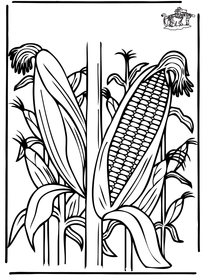 Planta de maiz para colorear - Imageneitor