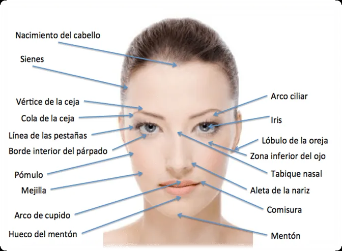 Make Up Artist Francisca Menares: junio 2013 Make Up Artist Francisca Menares: junio 2013