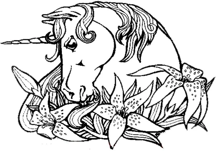 Malvorlagen Einhorn -3 | Malvorlagen Gratis Malvorlagen Einhorn -3 | Malvorlagen Gratis