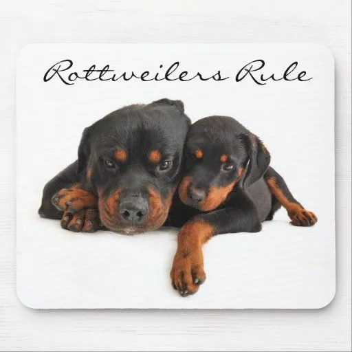 Mamá y perrito Rottweiler Mousepad de la regla de Tapetes De Raton ...
