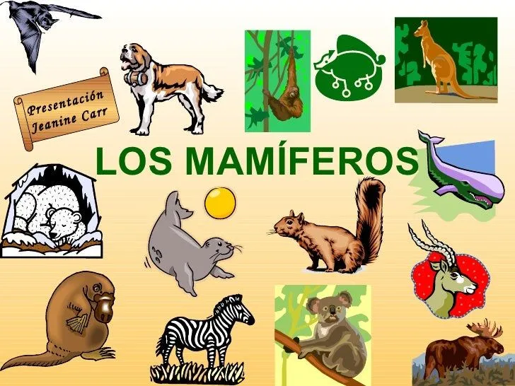 Los mamiferos