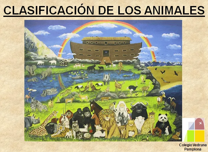 mamíferos | Blog de 1º de E.P. Colegio Vedruna (Pamplona)