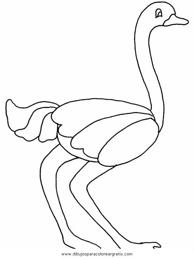 ÑANDÚ Colouring Pages