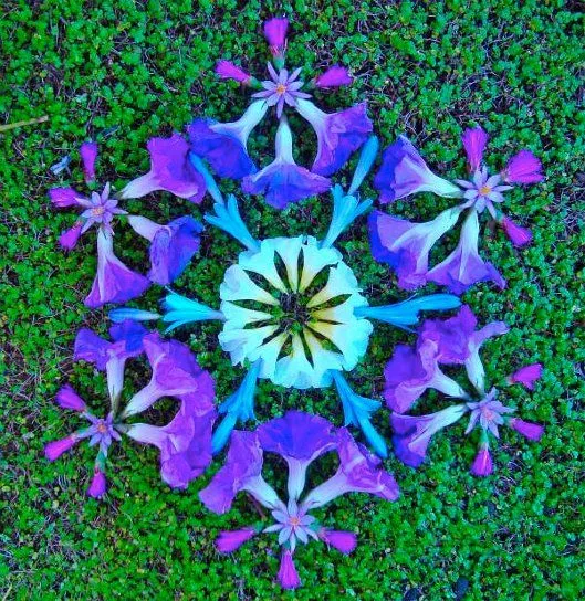 Mandalas de flores naturales | Ikusi batusi