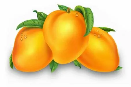 Dibujo mango - Imagui