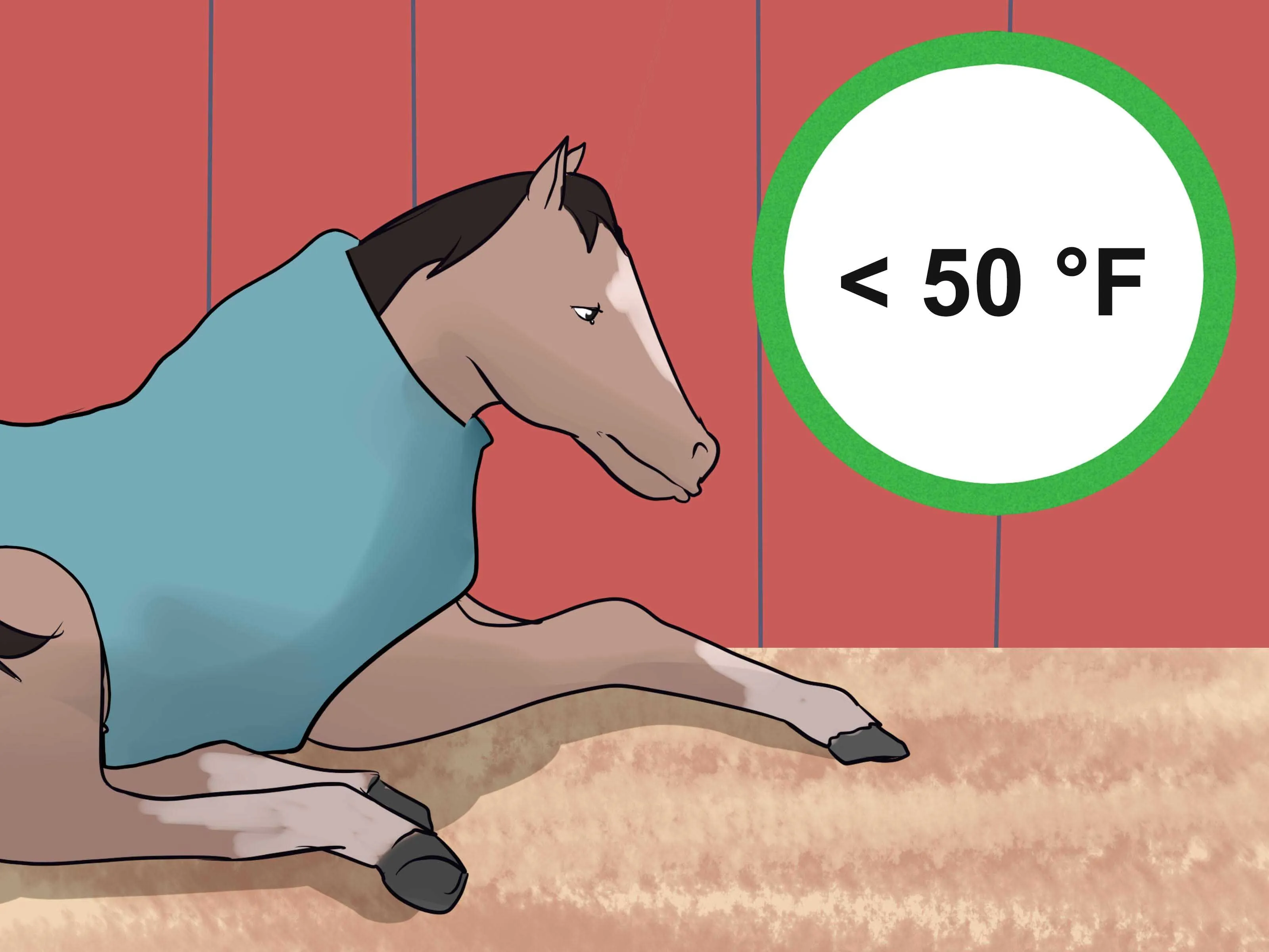Cómo hacer una manta para caballo: 14 Pasos