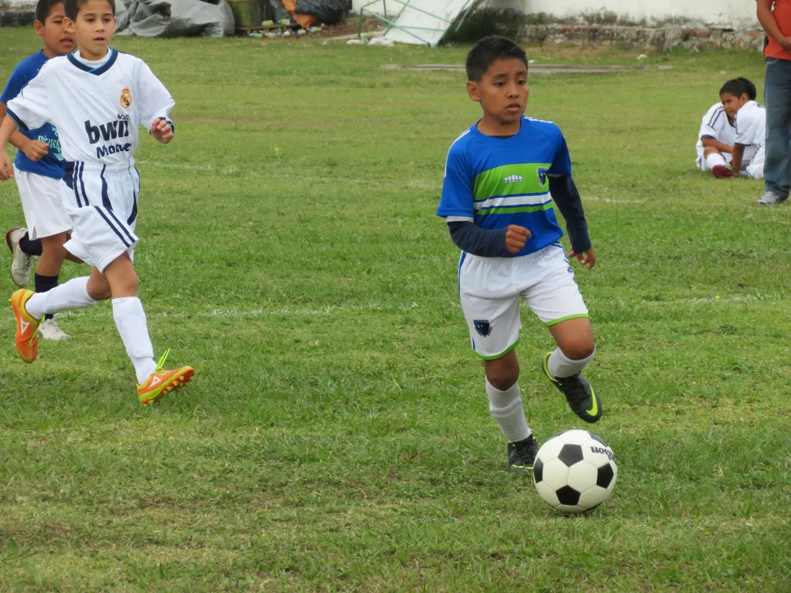 Mantienen Halcones de Veracruz convocatoria para niños y jóvenes ... Mantienen Halcones de Veracruz convocatoria para niños y jóvenes ...