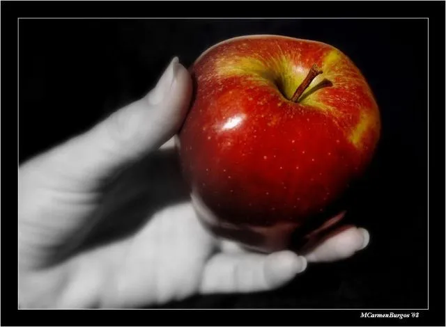 Una manzana cada día | fotos de Creación y fotomontajes