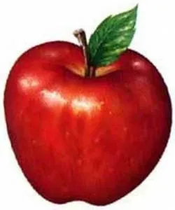 La manzana: el fruto prohibido que está bueno - Vera´s Soul
