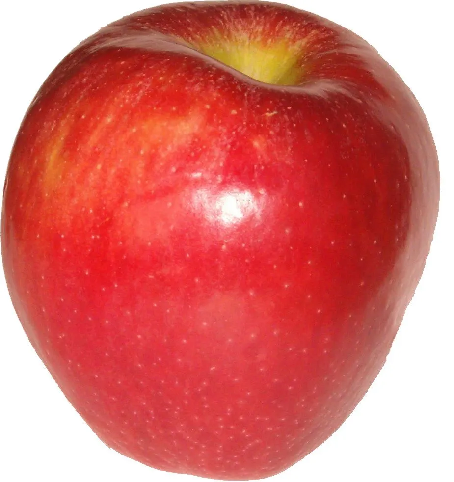 manzana una manzana posee gran cantidad de antioxidantes que ayudan