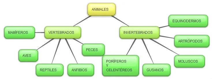 Mapa conceptual de animales vertebrados e invertebrados - Imagui