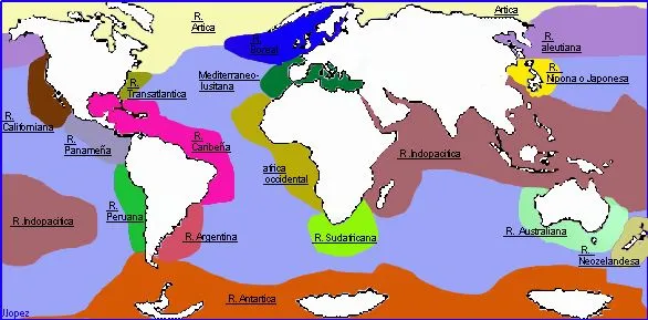 Mapas con los mares del mundo - Imagui