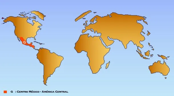 mapa_mundo.jpg